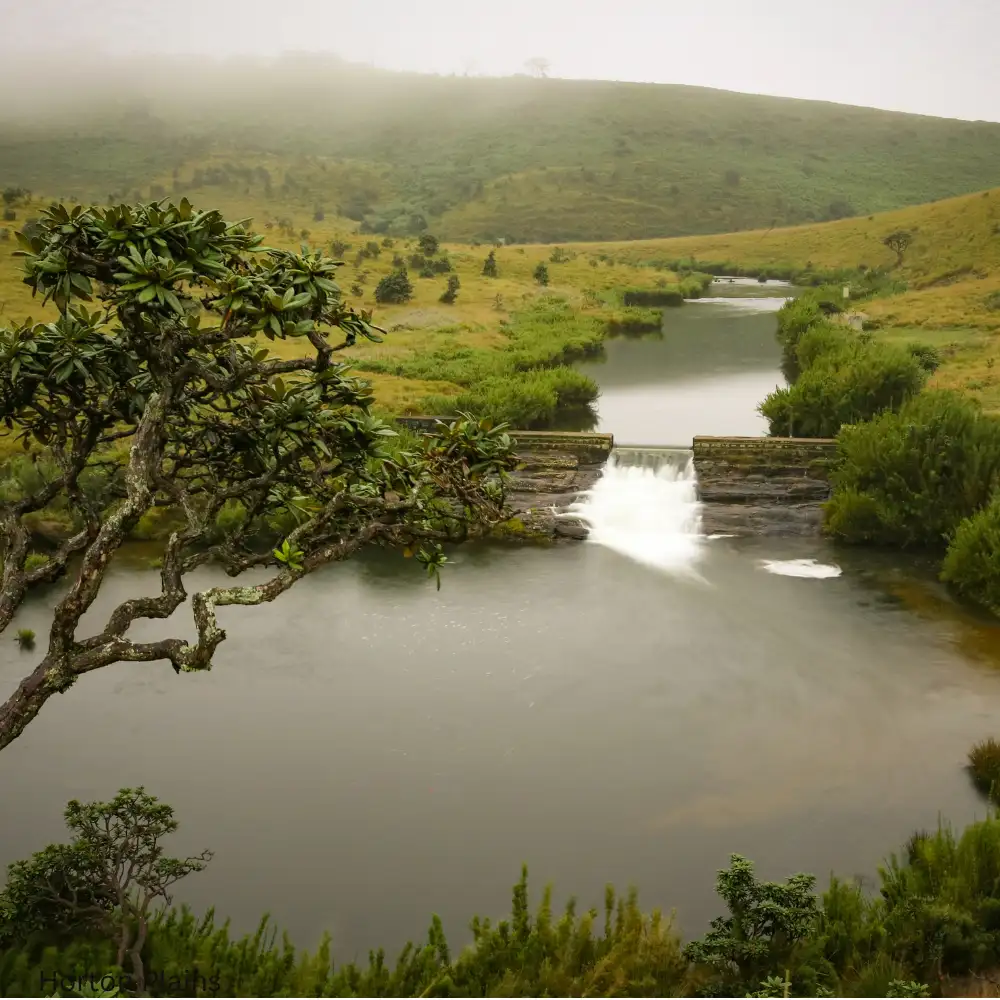 Horton Plains 1