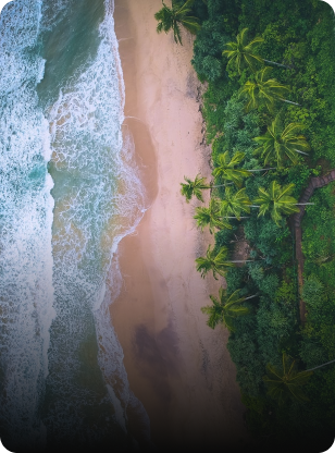 Beaches