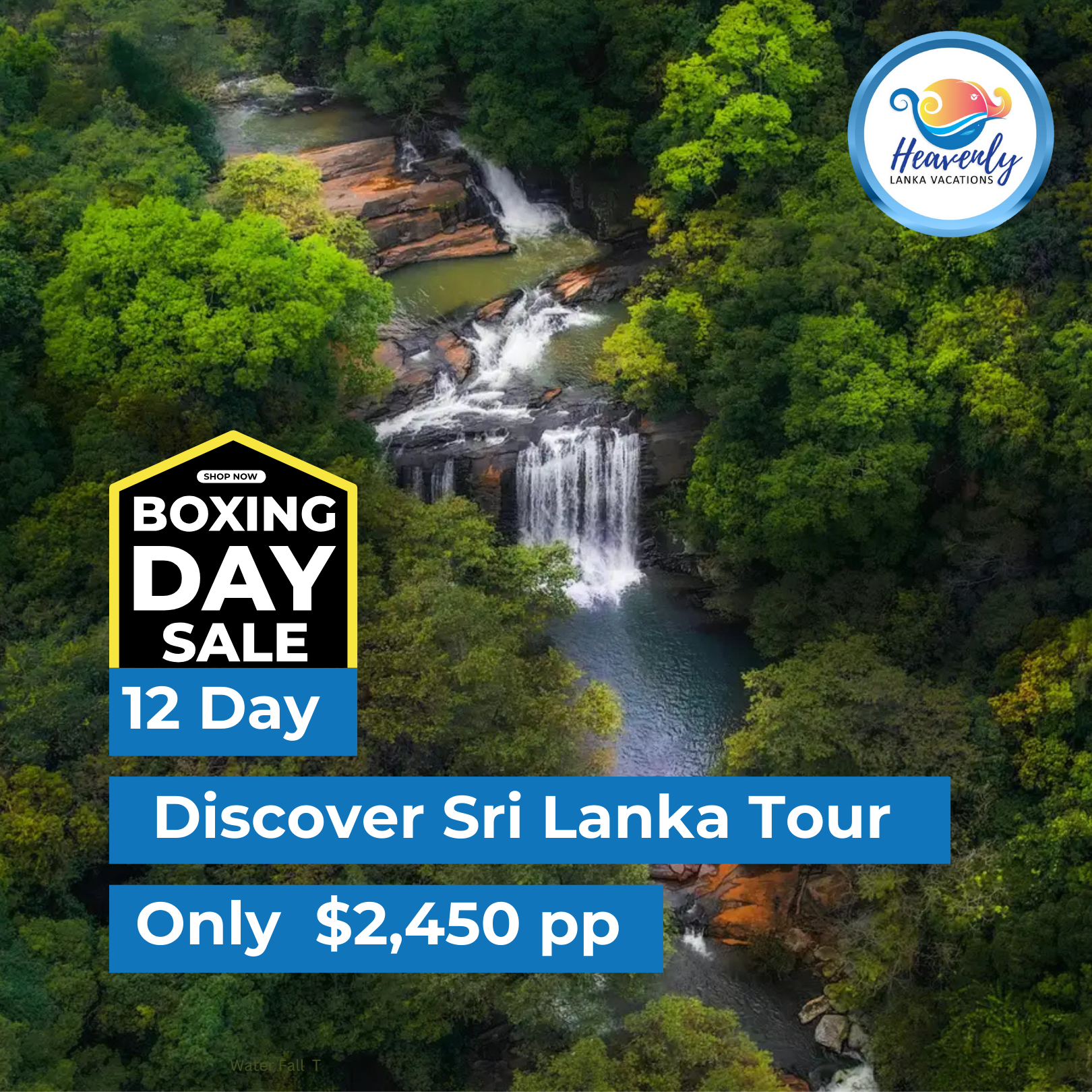 Boxing Day - Discover1- Square