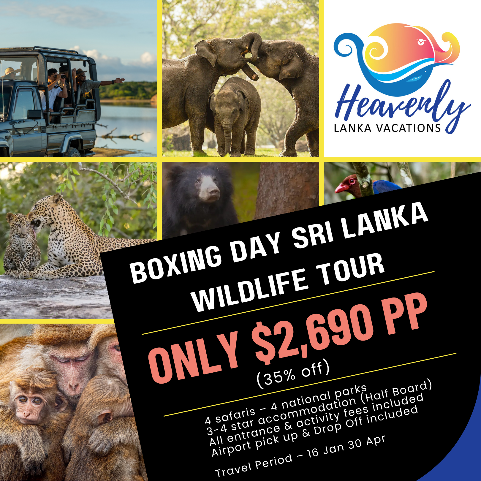 Boxing Day - Wild1- Square