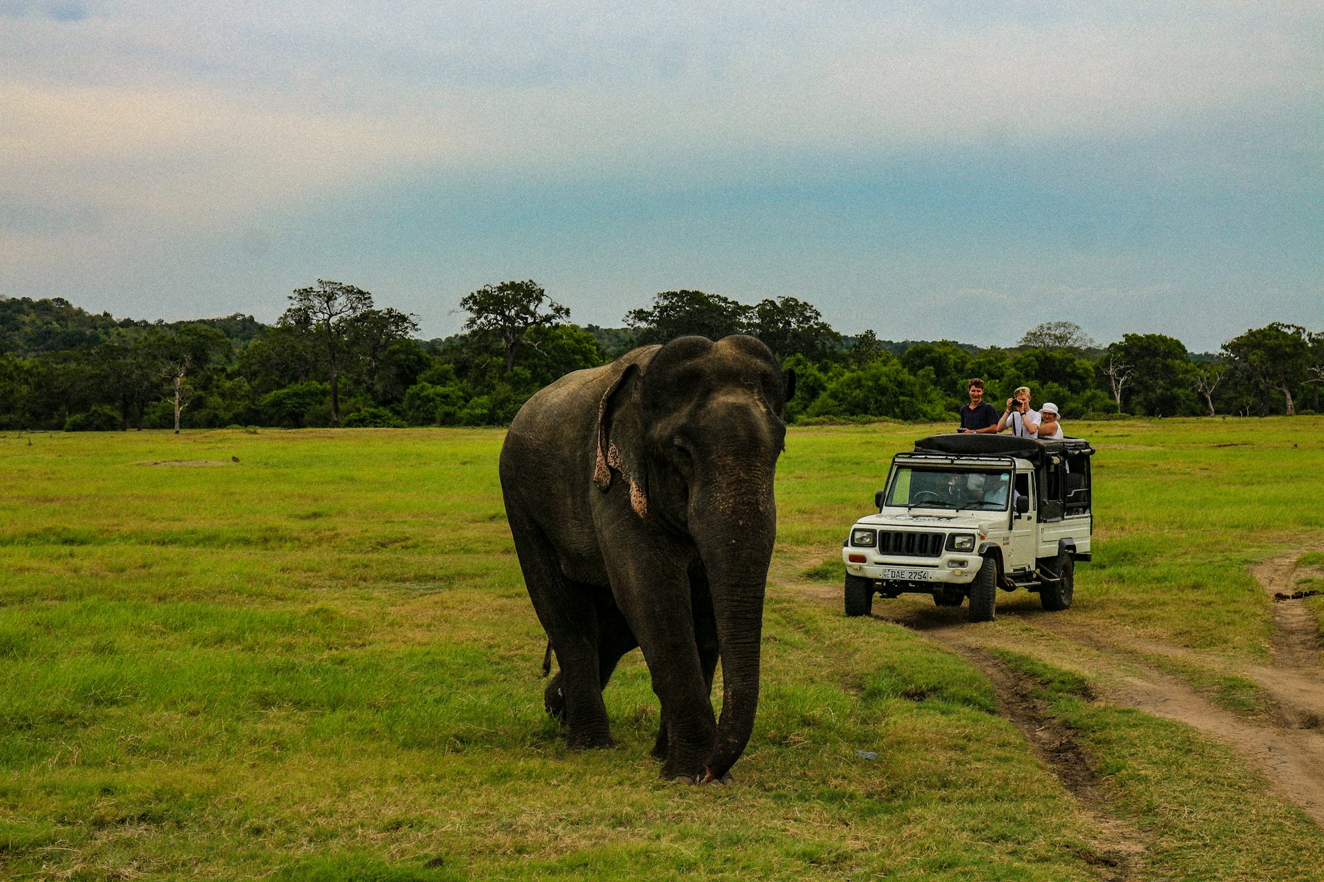 Sri Lanka Safari Package