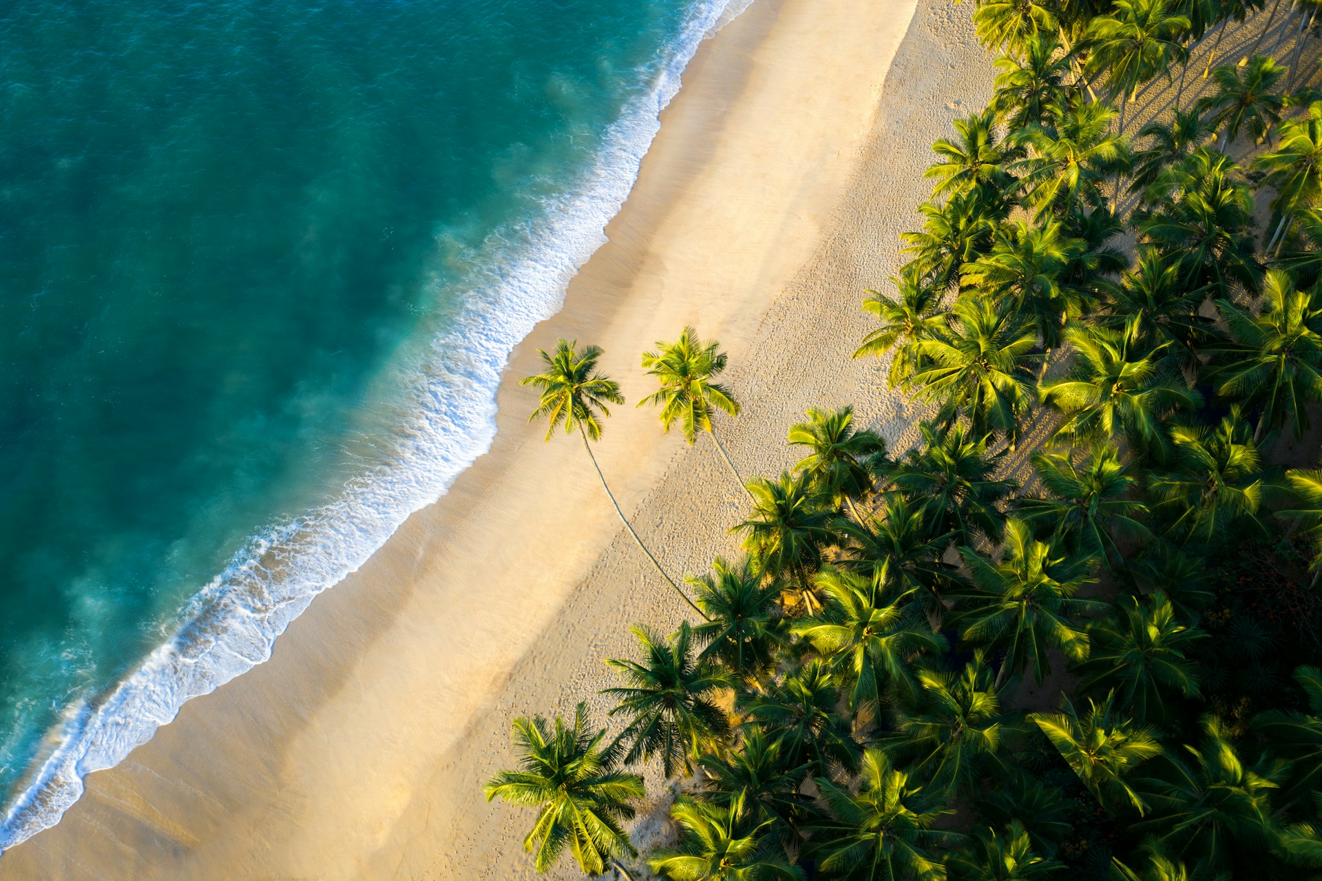 sri lanka beach