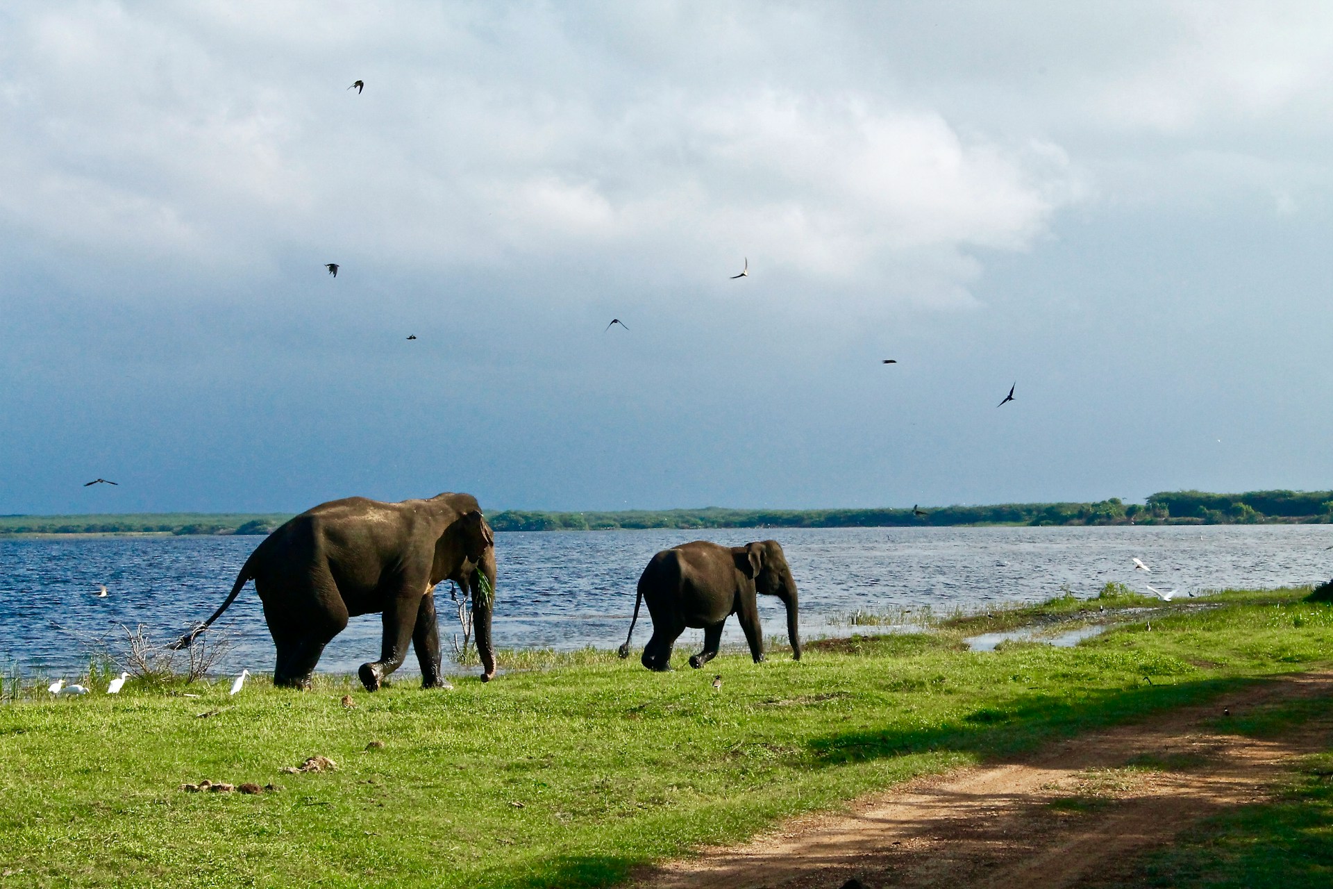 sri lanka