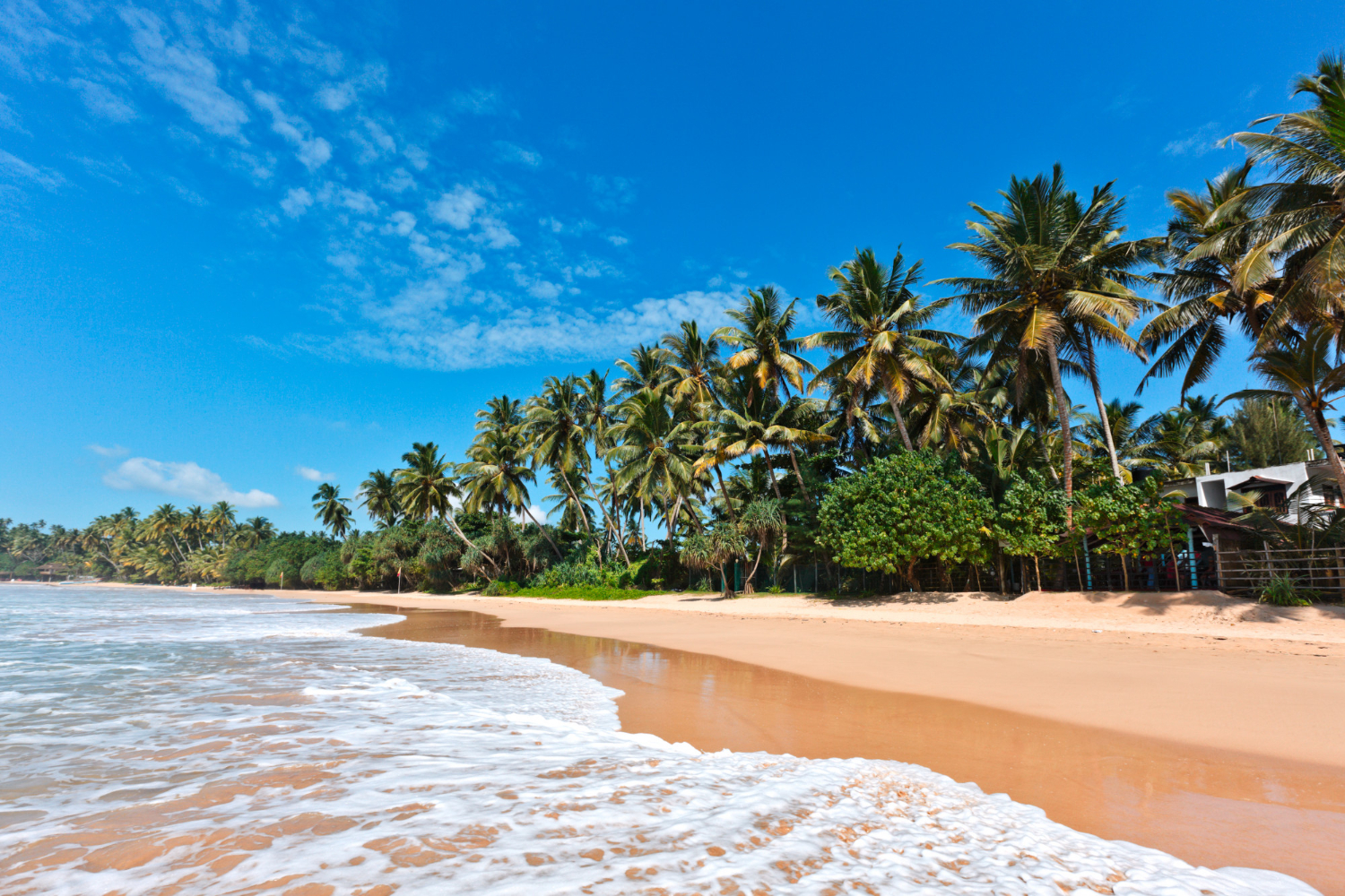 sri lanka beach